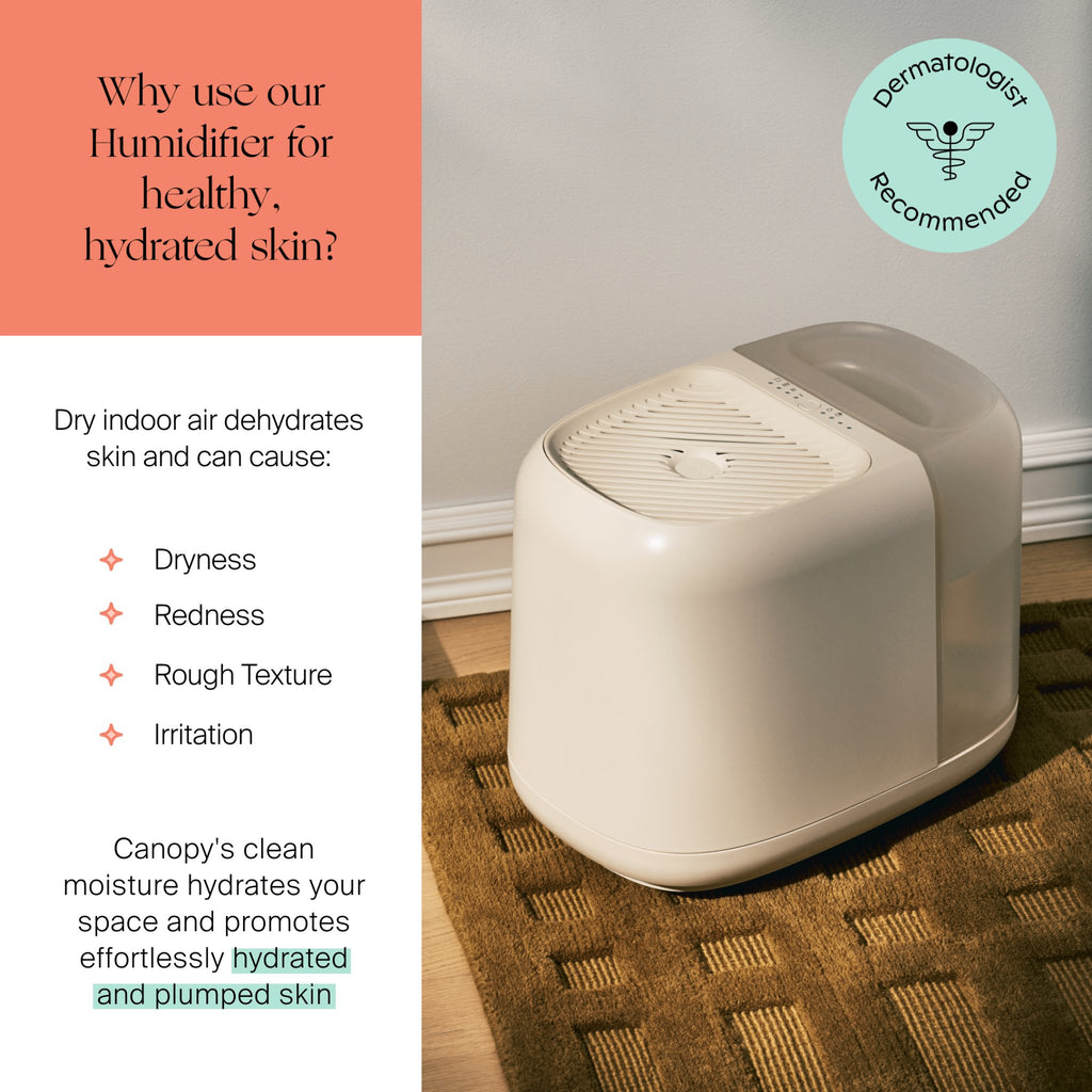 Large Room Humidifier - Easy Breathe