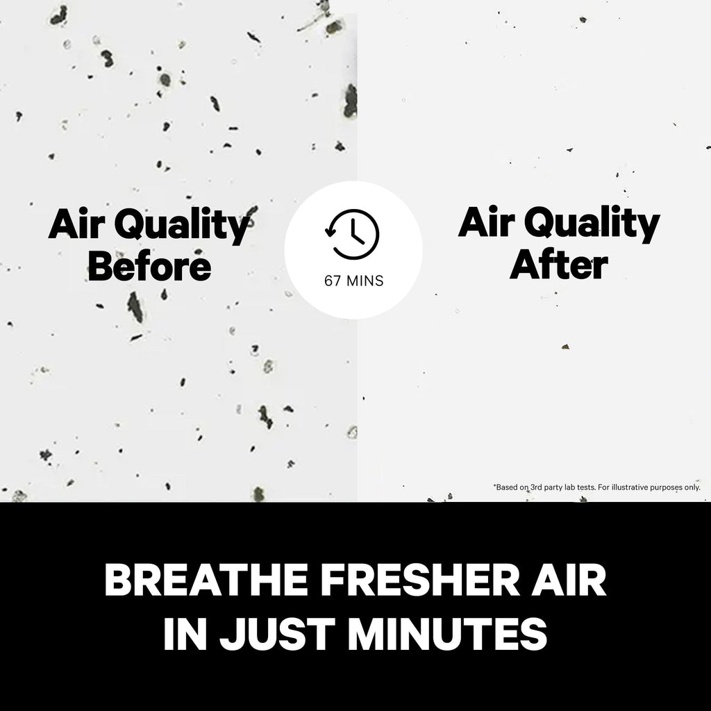 PuroAir 240 Air Purifier - Easy Breathe